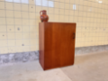 Picture of Teak veneer storage cabinet