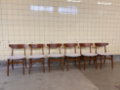 Picture of Set of Six Dining Chairs Model 210 by Farstrup
